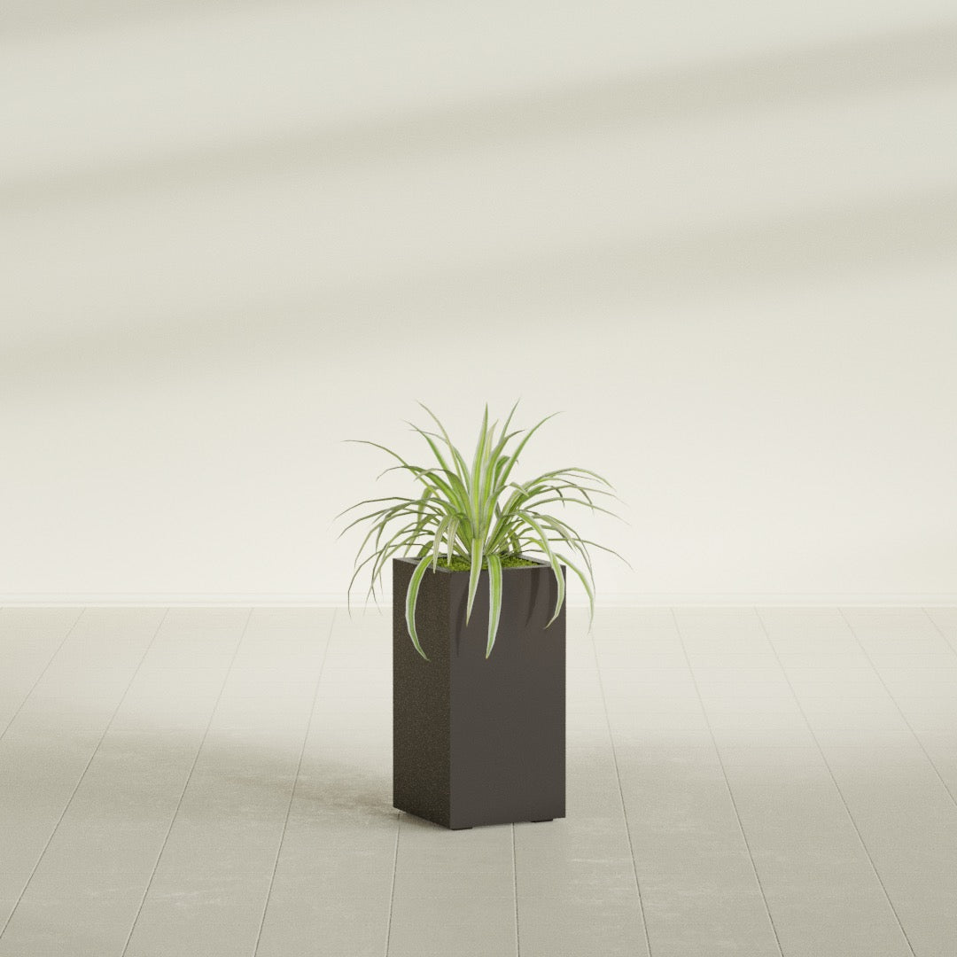 Hollywood Corner fiberglass planter in Matte Dark Brown, shown planted, in a sunlit interior