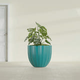 Santa Barbara Fluted Round fiberglass planter in Satin Seafoam Green, shown planted, in a sunlit interior