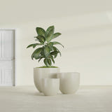 Alzira Bowl fiberglass planter in Satin Beige, size range, in a sunlit interior