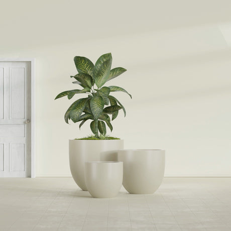 Alzira Bowl fiberglass planter in Satin Beige, size range, in a sunlit interior