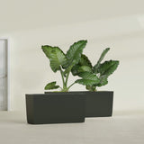 Panama Tapered Rectangular fiberglass planter in Matte Charcoal, shown planted, in a sunlit interior