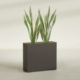 Perth Rectangular fiberglass planter in Matte Dark Brown, shown planted, in a sunlit interior
