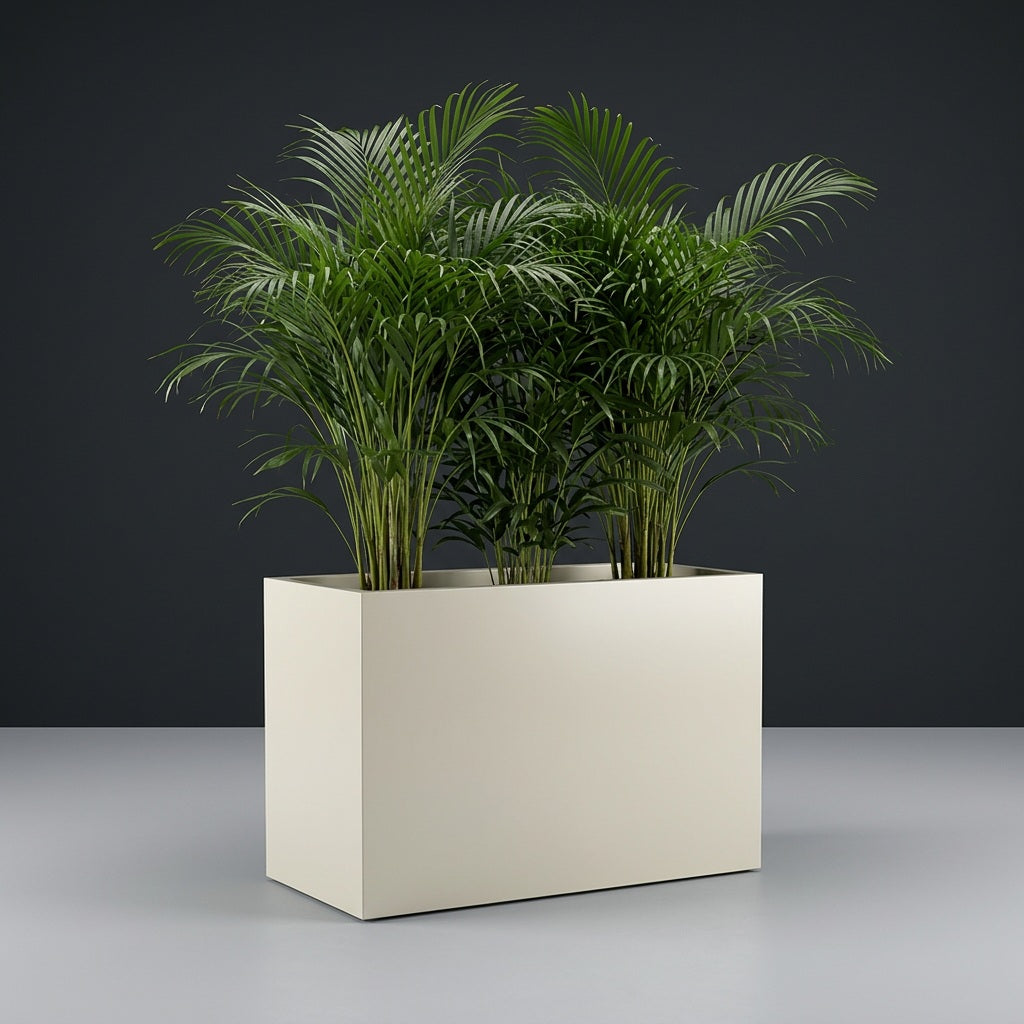 Brisbane Rectangular fiberglass planter in Satin Beige, planted with an areca palm, studio