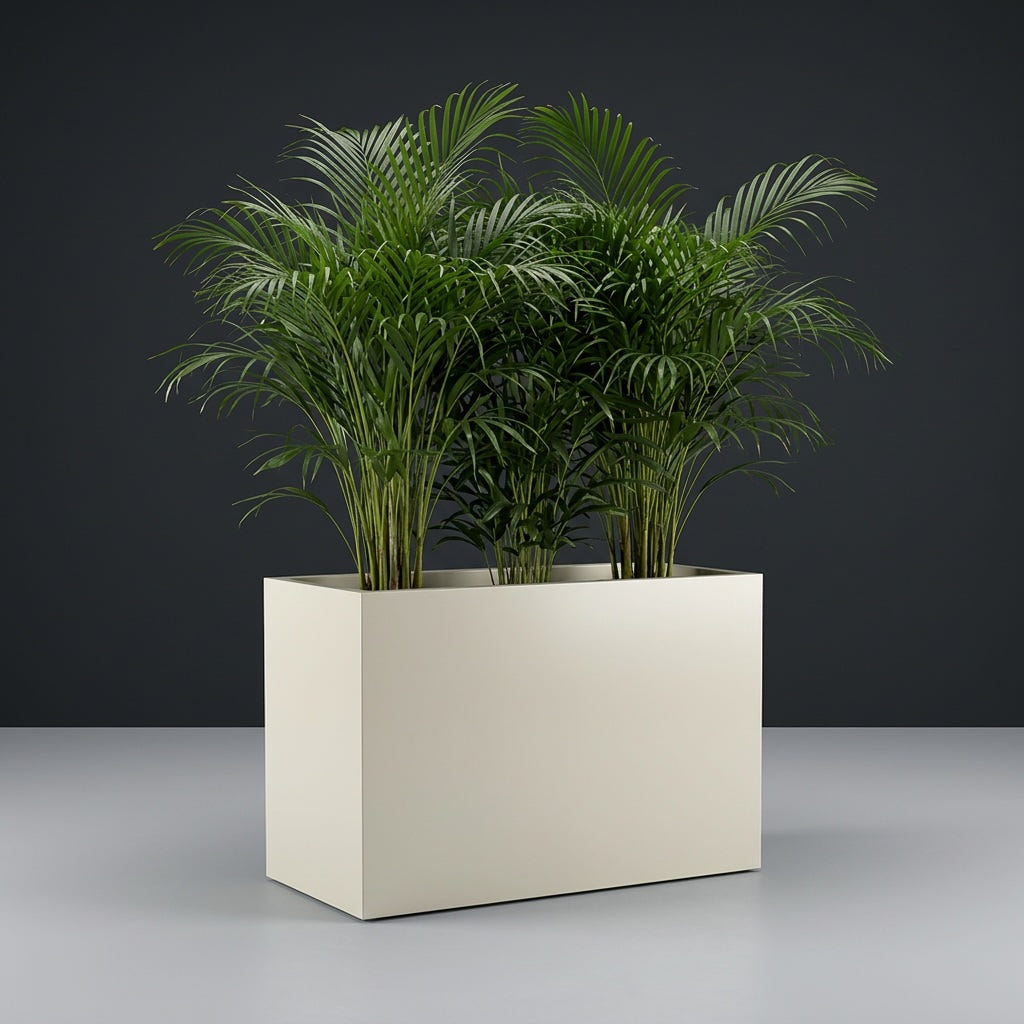 Brisbane Rectangular fiberglass planter in Satin Beige, planted with an areca palm, studio