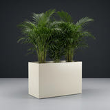 Brisbane Rectangular fiberglass planter in Satin Beige, planted with an areca palm, studio