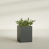 Brisbane corner fiberglass planter, in a dark finish, planted with ferns