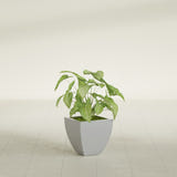 Lima Tapered Square fiberglass planter in Metallic Silver, shown planted, in a sunlit interior