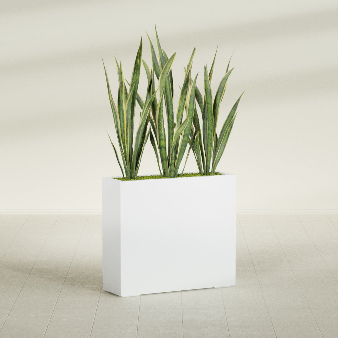 Delray Corner fiberglass planter in Matte Bright White, shown planted, in a sunlit interior