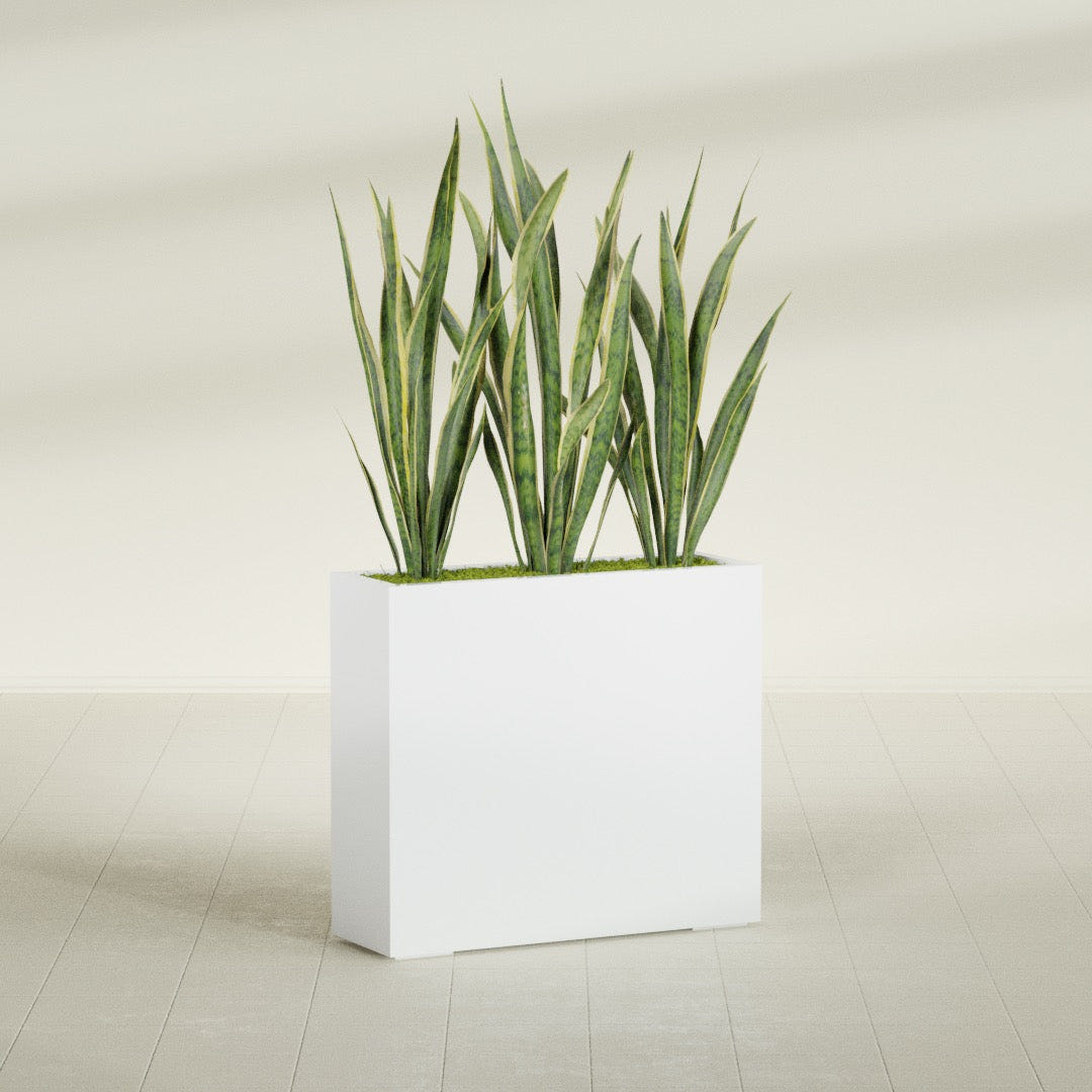 Delray Rectangular fiberglass planter in Matte Bright White, shown planted, in a sunlit interior