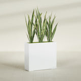 Delray Rectangular fiberglass planter in Matte Bright White, shown planted, in a sunlit interior