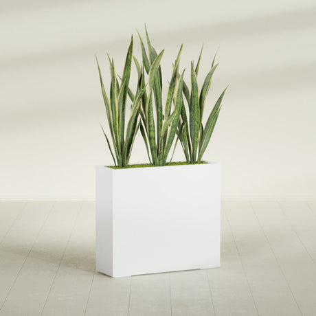 Delray Rectangular fiberglass planter in Matte Bright White, shown planted, in a sunlit interior