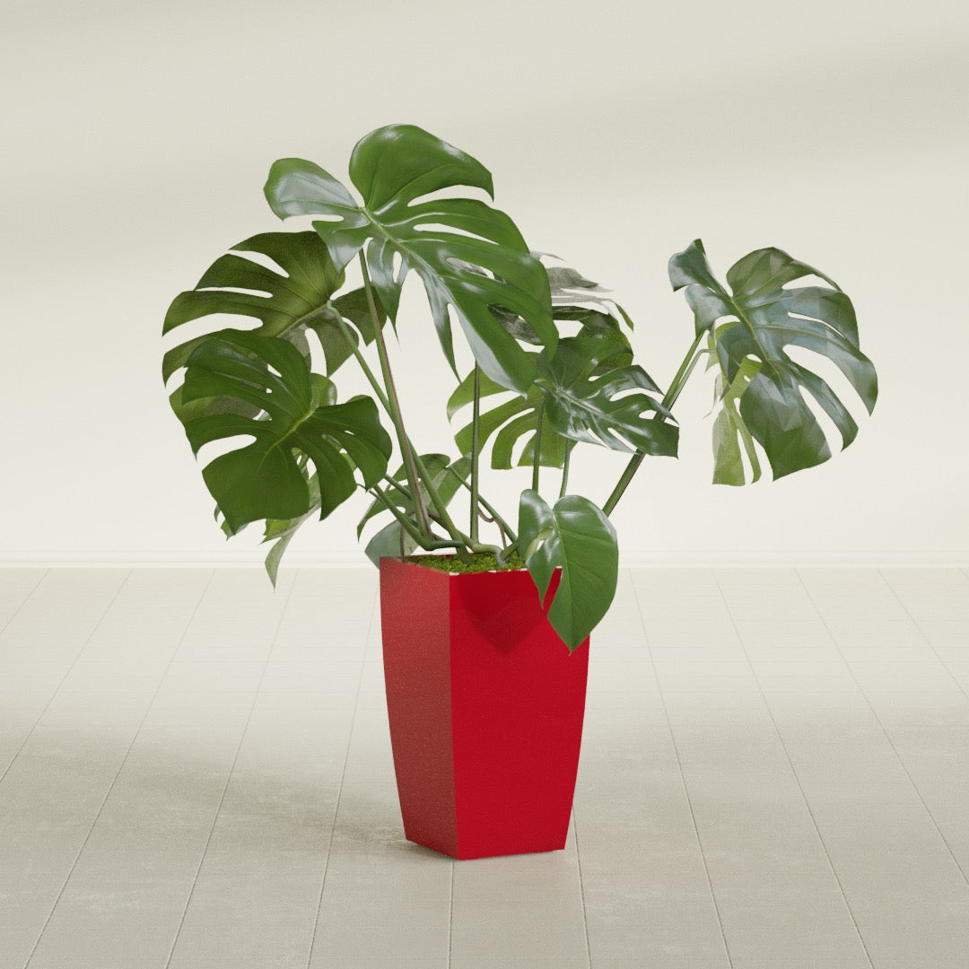 Toulan Tapered Square fiberglass planter in Gloss Red, shown planted, in a sunlit interior