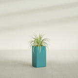 Hollywood Narrow Rectangular fiberglass planter in Satin Seafoam Green, shown planted, in a sunlit interior