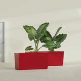 Panama Tapered Rectangular fiberglass planter in Gloss Red, shown planted, in a sunlit interior