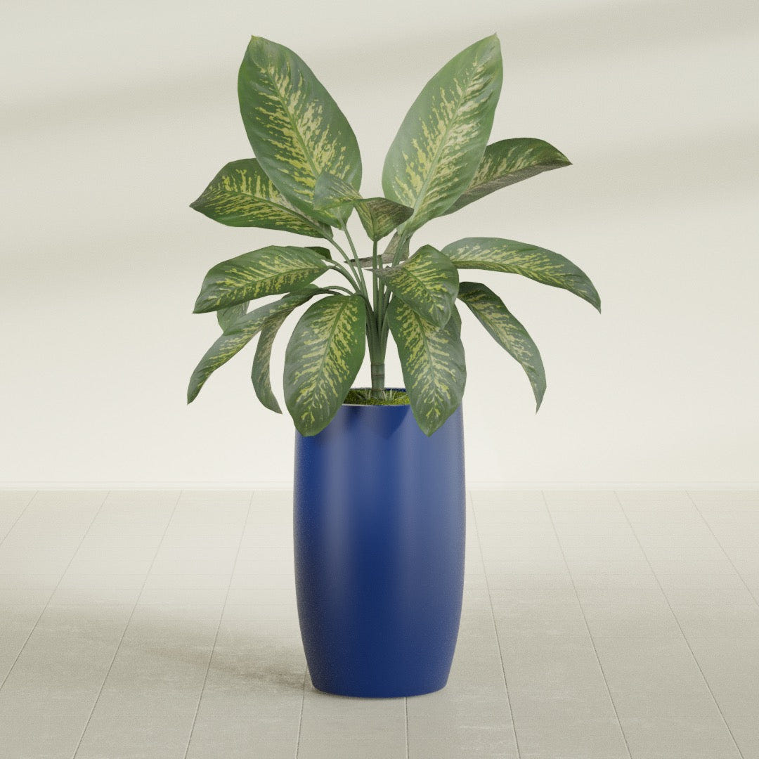 Lisbon tall round tapered fiberglass planter in Matte Cobalt Blue, planted, in a sunlit interior