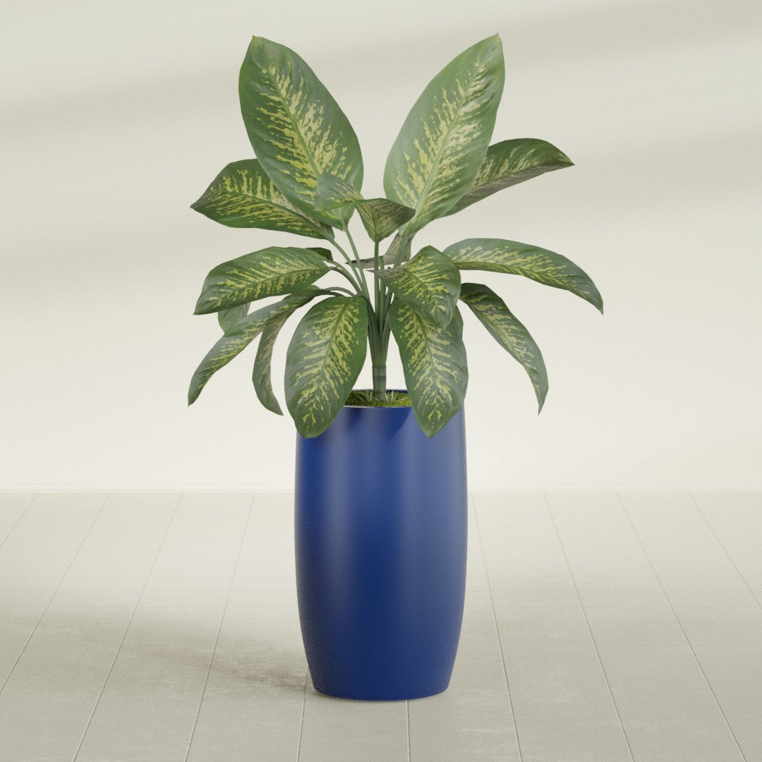 Lisbon tall round tapered fiberglass planter in Matte Cobalt Blue, planted, in a sunlit interior