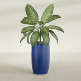 Lisbon tall round tapered fiberglass planter in Matte Cobalt Blue, planted, in a sunlit interior