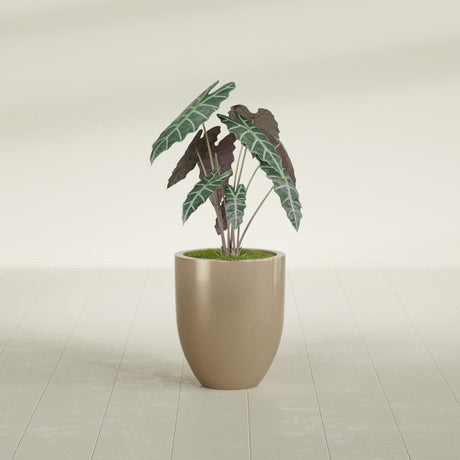 Valencia Tapered Round fiberglass planter in Gloss Metallic Gold, shown planted, in a sunlit interior