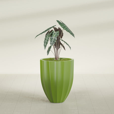 Alicante Fluted fiberglass planter in Satin Green, shown planted, in a sunlit interior
