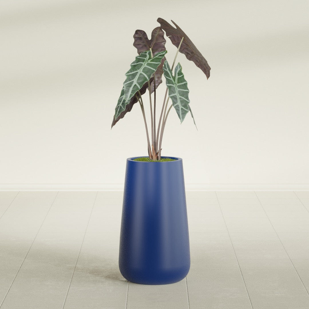 Saigon Tapered Round fiberglass planter in Matte Cobalt Blue, shown planted, in a sunlit interior