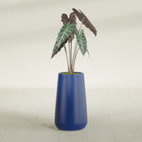 Saigon Tapered Round fiberglass planter in Matte Cobalt Blue, shown planted, in a sunlit interior
