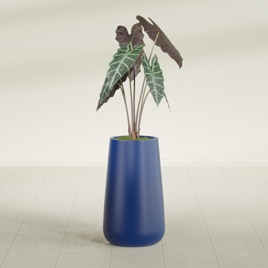 Saigon Tapered Round fiberglass planter in Matte Cobalt Blue, shown planted, in a sunlit interior