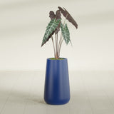 Saigon Tapered Round fiberglass planter in Matte Cobalt Blue, shown planted, in a sunlit interior