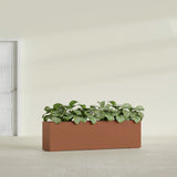 Hudson Extra Long fiberglass planter in Matte Terra Cotta, shown planted, in a sunlit interior