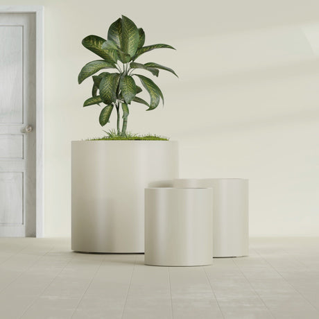Rio Grande Cylinder fiberglass planter in Satin Beige, size range, in a sunlit interior