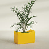 Seoul Curved fiberglass planter in Gloss Saffron, shown planted, in a sunlit interior