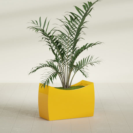 Seoul Curved fiberglass planter in Gloss Saffron, shown planted, in a sunlit interior