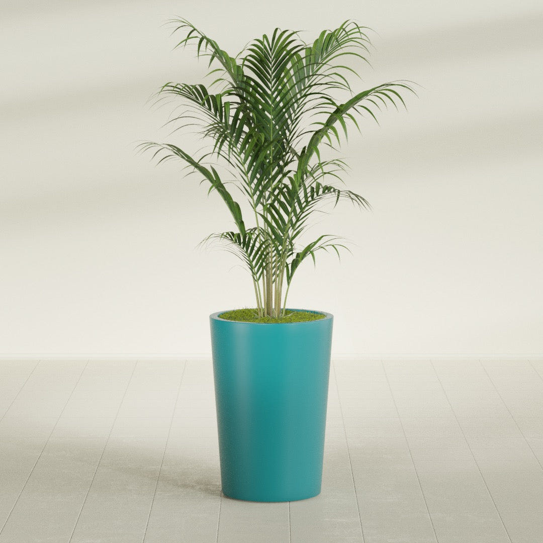Tegel Round Tapered fiberglass planter in Satin Seafoam Green, shown planted, in a sunlit interior
