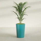 Tegel Round Tapered fiberglass planter in Satin Seafoam Green, shown planted, in a sunlit interior
