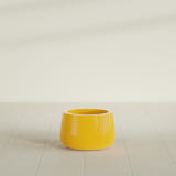 Short Hayden Bowl Planter in Gloss Saffron, 12"D × 7"H, shown empty