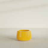 Short Hayden Bowl Planter in Gloss Saffron, 12"D × 7"H, shown empty
