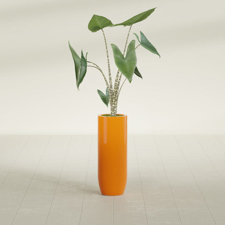 Saint Tropez Bullet Round fiberglass planter in Gloss Tangerine, shown planted, in a sunlit interior