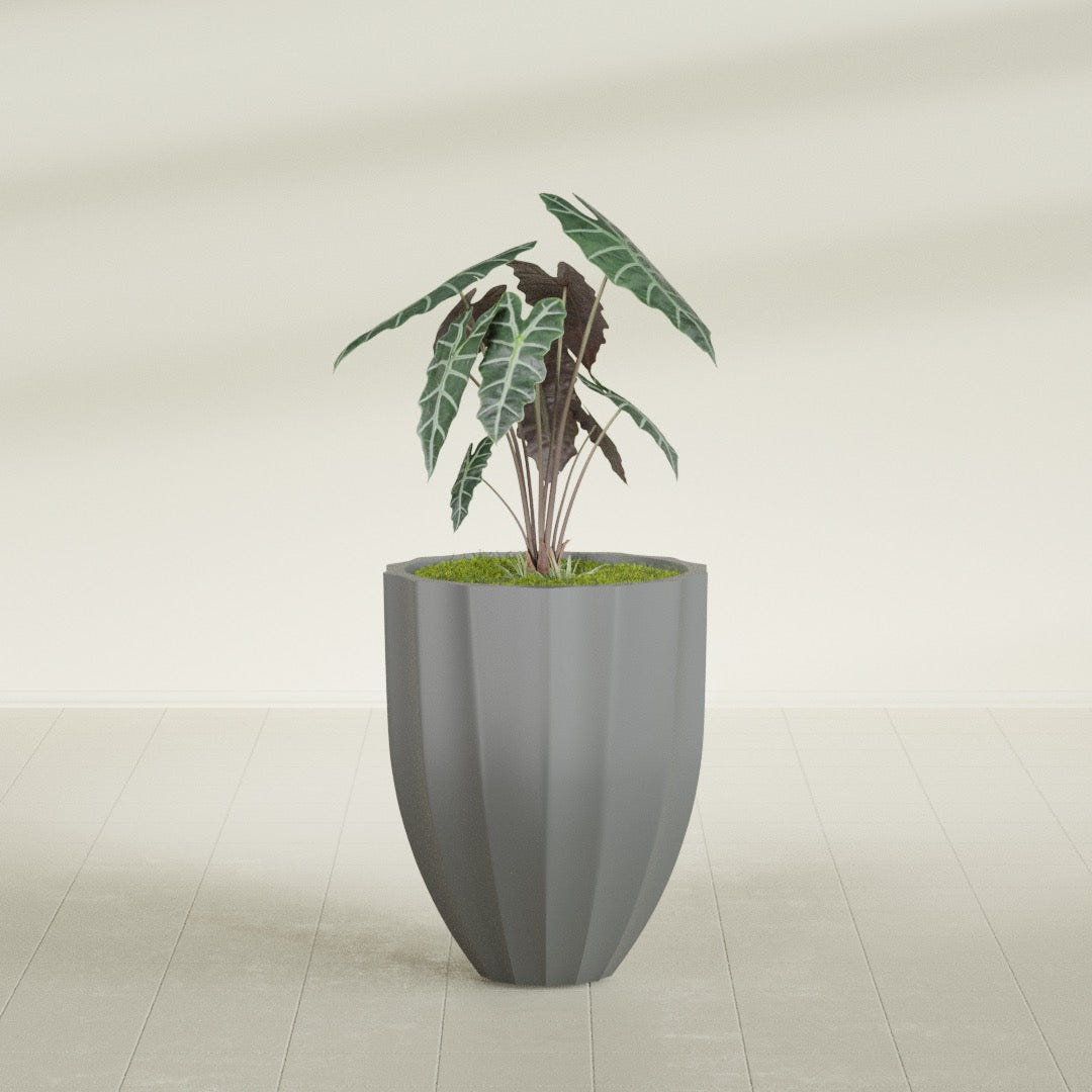Alicante Fluted fiberglass planter in Matte Gunmetal, shown planted, in a sunlit interior