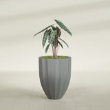 Alicante Fluted fiberglass planter in Matte Gunmetal, shown planted, in a sunlit interior