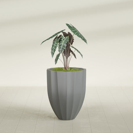 Alicante Fluted fiberglass planter in Matte Gunmetal, shown planted, in a sunlit interior