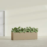 Hudson Extra Long fiberglass planter in Gloss Metallic Gold, shown planted, in a sunlit interior