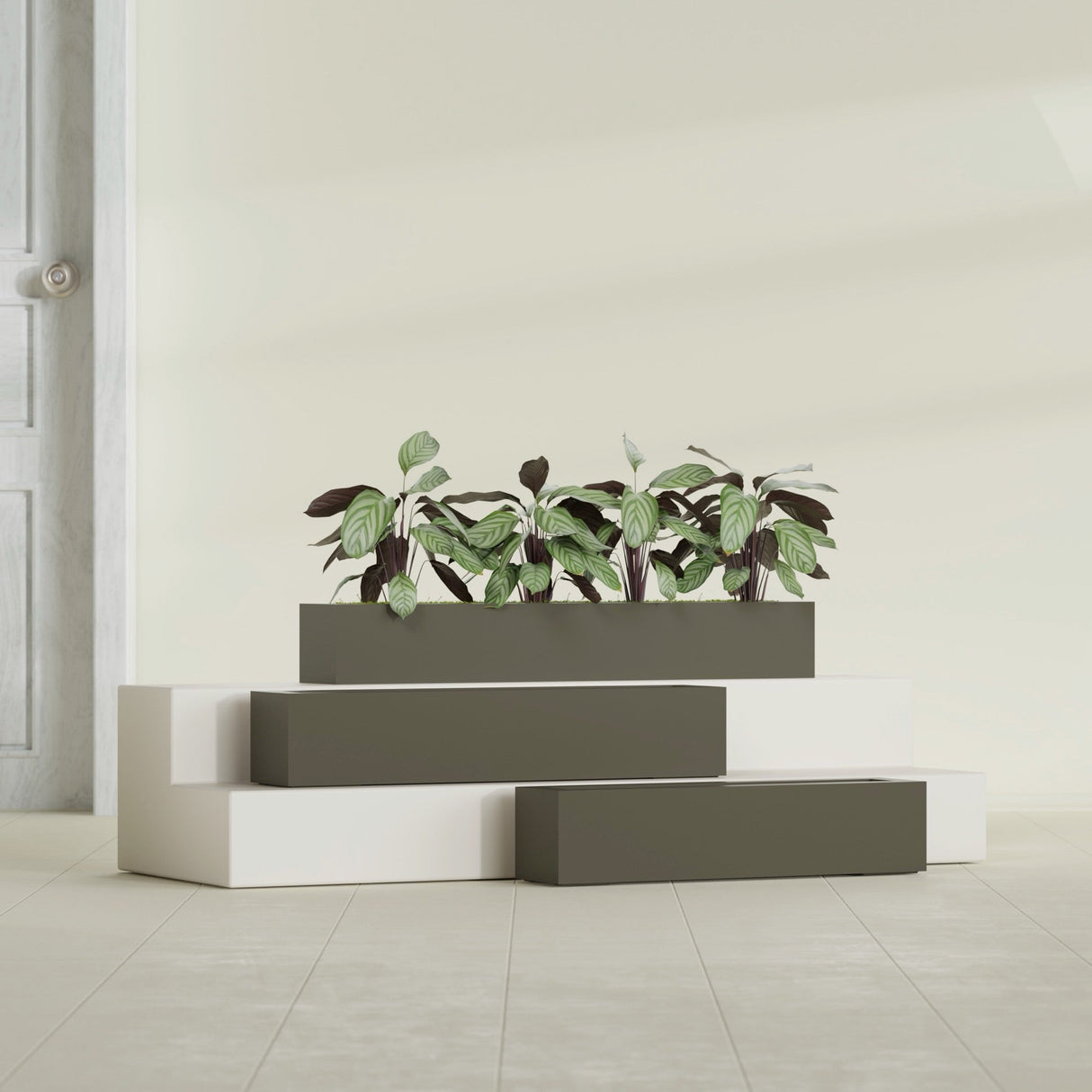 Salon Box fiberglass planter in Matte Bronze, size range, in a sunlit interior