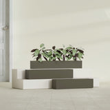 Salon Box fiberglass planter in Matte Bronze, size range, in a sunlit interior
