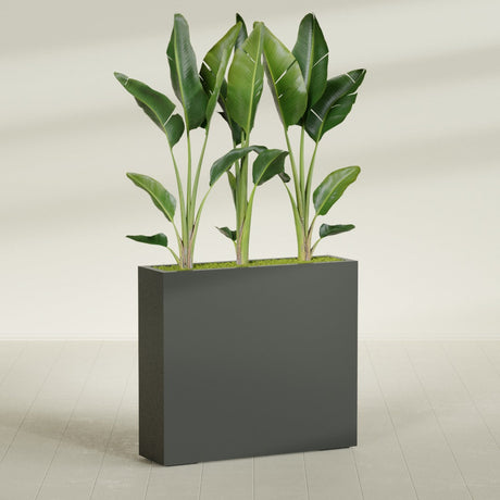 Amesbury Narrow Rectangular fiberglass planter in Matte Charcoal, shown planted, in a sunlit interior
