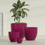 Wannsee Round fiberglass planter in Gloss Eggplant, size range, in a sunlit interior