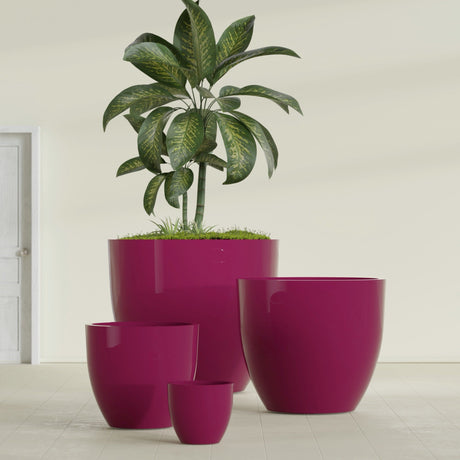 Wannsee Round fiberglass planter in Gloss Eggplant, size range, in a sunlit interior