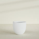 Alzira Bowl Planter in Gloss Bright White, 30"D × 28"H, shown empty