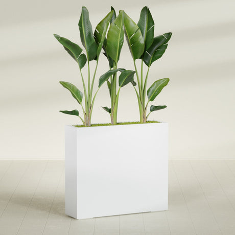 Amesbury Narrow Rectangular fiberglass planter in Gloss Bright White, shown planted, in a sunlit interior