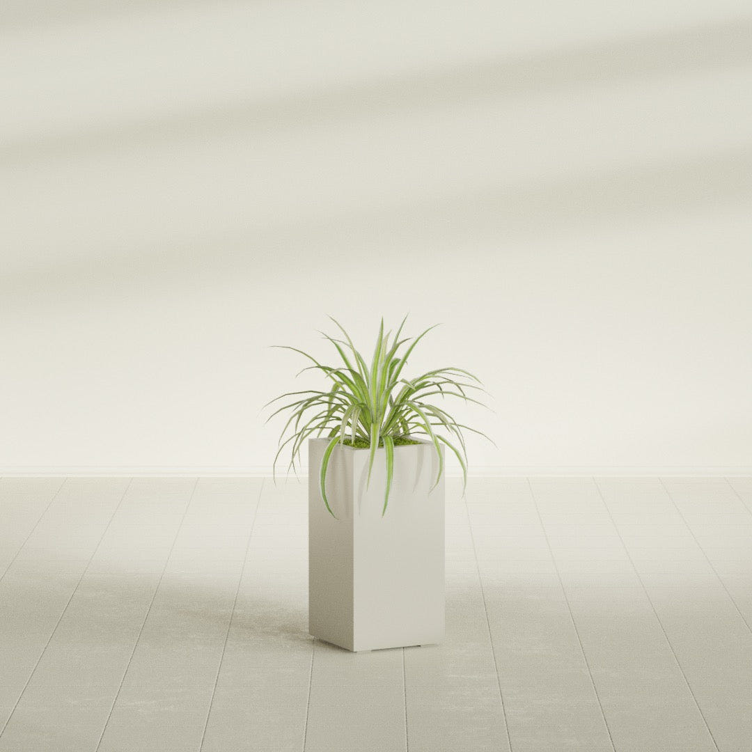 Hollywood Narrow Rectangular fiberglass planter in Satin Beige, shown planted, in a sunlit interior