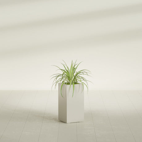 Hollywood Narrow Rectangular fiberglass planter in Satin Beige, shown planted, in a sunlit interior