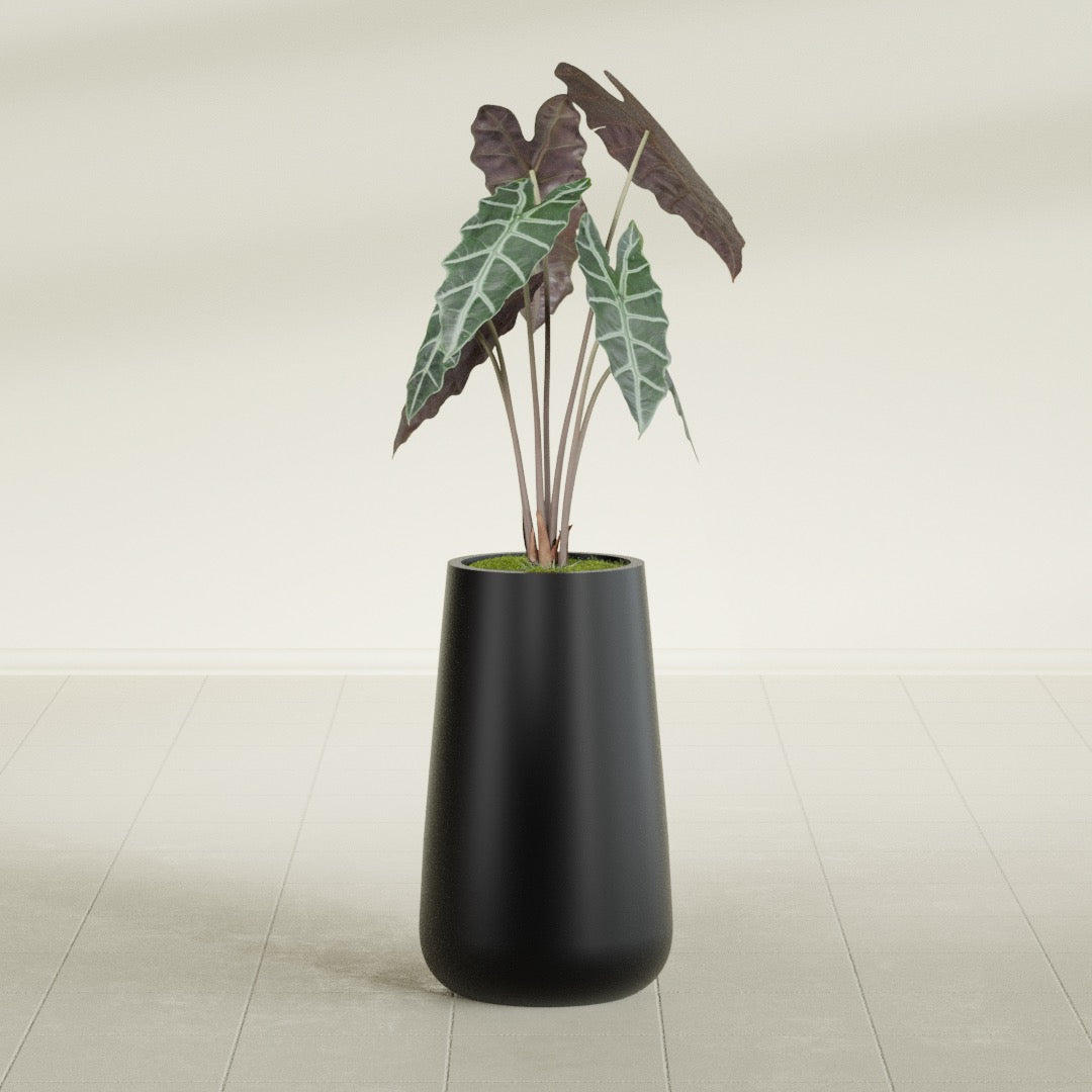 Saigon Tapered Round fiberglass planter in Matte Black, shown planted, in a sunlit interior